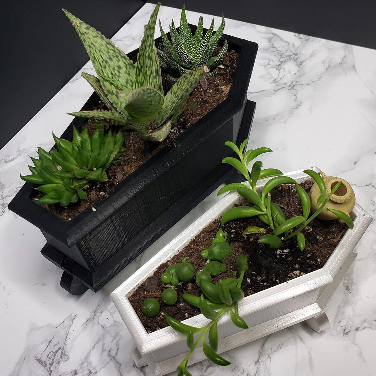 Snake Plant Ceramic - Mini fioriera per bara, supporto decorativo