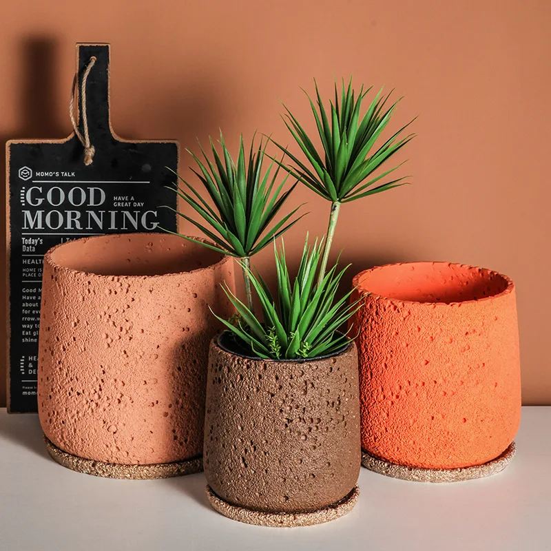 Decorazione del vaso di fiori  - Snake Plant Ceramic recensione e prezzo