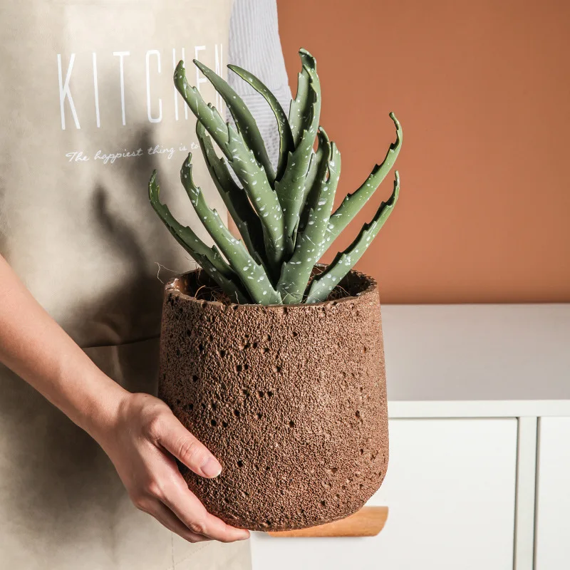Decorazione del vaso di fiori  - Snake Plant Ceramic recensione e prezzo