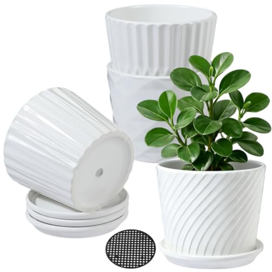 Vasi per Piante - Set di 4 Vas - Snake Plant Ceramic recensione e prezzo