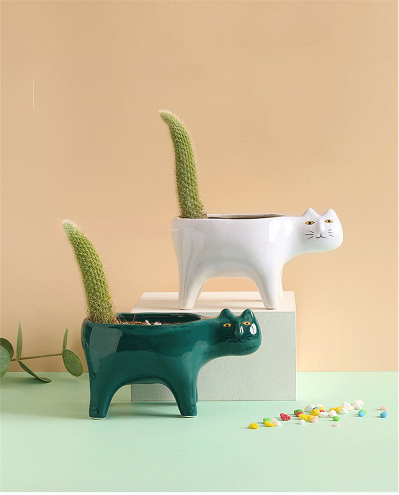 Simpatico gatto in ceramica da - Snake Plant Ceramic recensione e prezzo